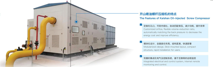 10-1定制产品：工艺气体压缩机样本_05_03.jpg